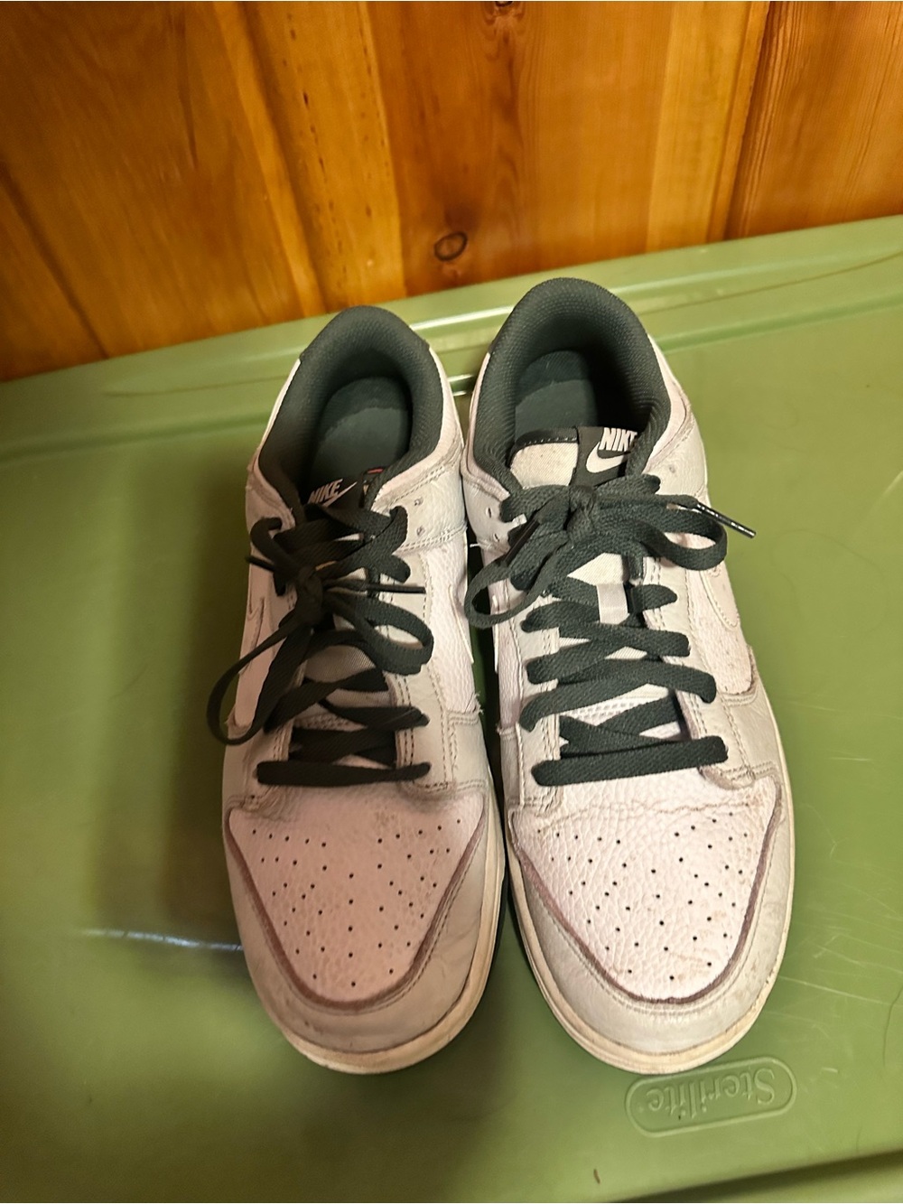 Nike Men’s Low Retro SE